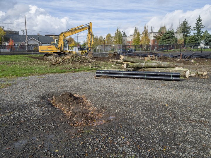 Site clearing